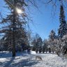 Robert the Spruce 🇺🇦 的头像