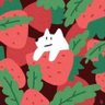 Wang Rachel's profile picture