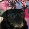 Luuuuuu's profile picture