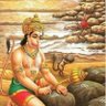 ॐ Gaurav ॐ's profile picture