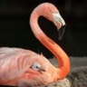 King Jasper Ston's profile picture