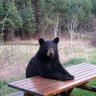 Profilbild von Sam J.