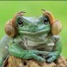 Garchu🐸 的头像
