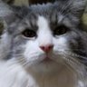 Profilbild von TK