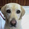 LiLi profil fotoğrafı