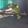 Фото профиля Pablo