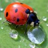 Фото профиля Mustapha Mus