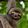 Adam #BIP-110 Jurek profil fotoğrafı