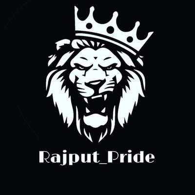 rajput_pride's profile picture