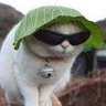 Profilbild von 2time