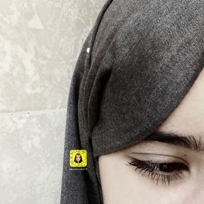 تهاني منذر صالح's profile picture