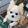 レオン profil fotoğrafı
