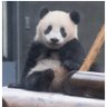 Profilbild von まりみにりき