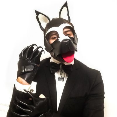 Frenchy_pup's profile picture