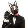 Frenchypup ๐งธ๐ซ๐ท๐๐ณ๏ธโ๐ ็ๅคดๅ