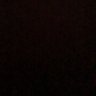 volk's profile picture