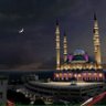 Faruk AKDEMİR's profile picture