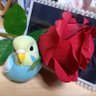 宮舘の嫁🌹 profil fotoğrafı
