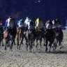 Фото профиля Poney_rapide