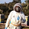 Abelles Bees profil fotoğrafı