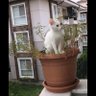 Фото профиля Sevim