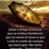 Dona de Mim profil fotoğrafı