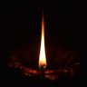 Rogith Shankrish's profile picture
