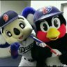 take-fumi🐧🦌's profile picture