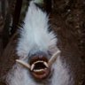 Фото профиля Billy Scrimshaw