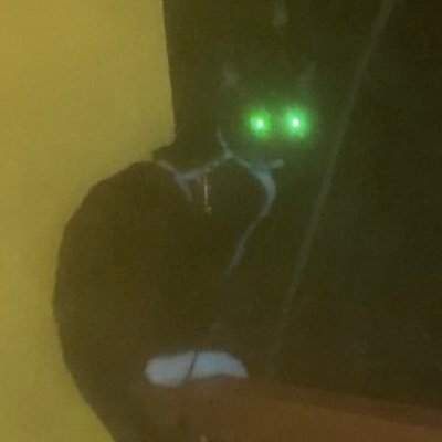 Taavet's profile picture