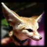 Inky ๐ (0/5) Slots Taken!'s profile picture