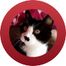 Profilbild von ゆきうさぎ