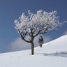 @栗 profil fotoğrafı