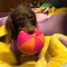 masa.m profil fotoğrafı