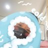 ヤッチ🍥✨🥛✨💖✨⏰✨🦄 的头像