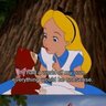 Alice🌼 的头像