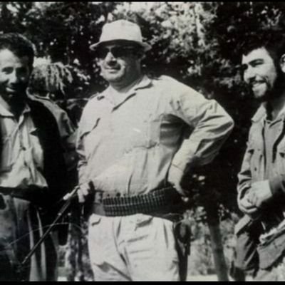 Toros Toroslar's profile picture
