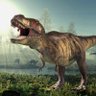 Dinosaur's profile picture