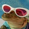 undercover lesbian 🏳️⚧️'s profile picture