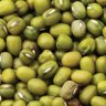 Фото профиля Mung Beans