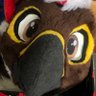 Falccbutt's profile picture