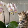 Фото профиля toritori