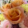 やっち profil fotoğrafı