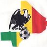 Défense En Ligne 🦅🇲🇱⚽'s profile picture