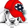 Mimi pet's profile picture