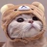 Profilbild von 从此开始