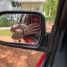 ⓐ𝕝𝕖𝕩𝕚𝕤🦩's profile picture