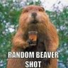 โขbeaver talesโข ๐จ๐ฆ's profile picture