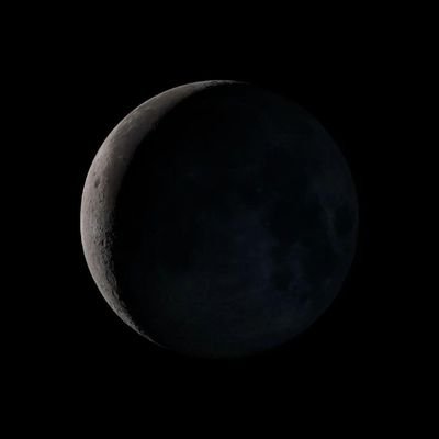 Virgxbxyz's profile picture