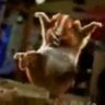 Meiky Maus's profile picture